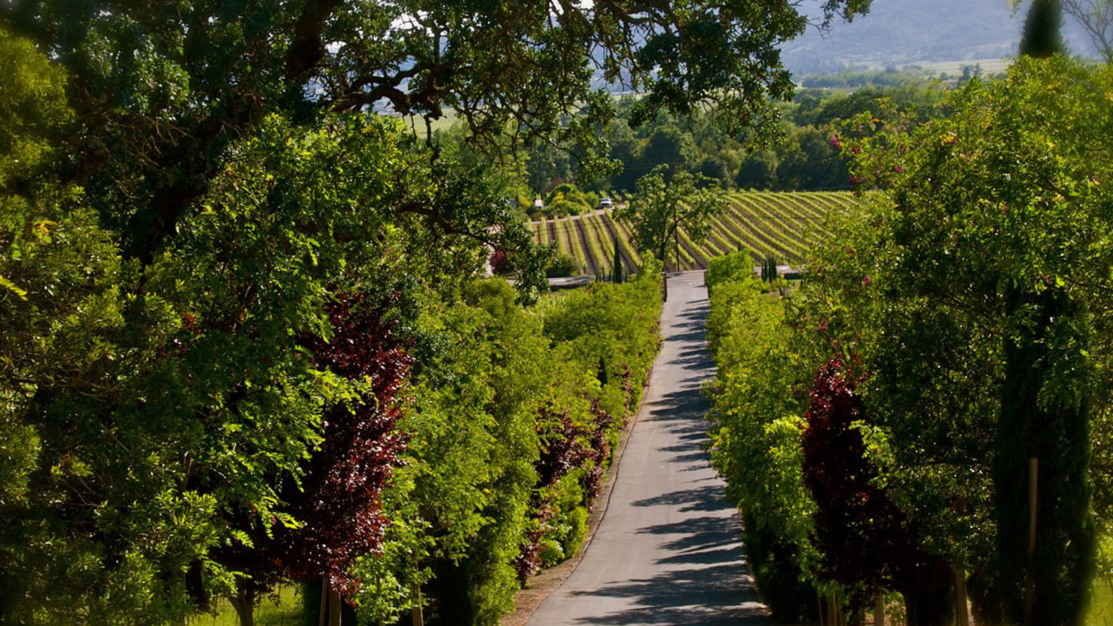 Signorello driveway